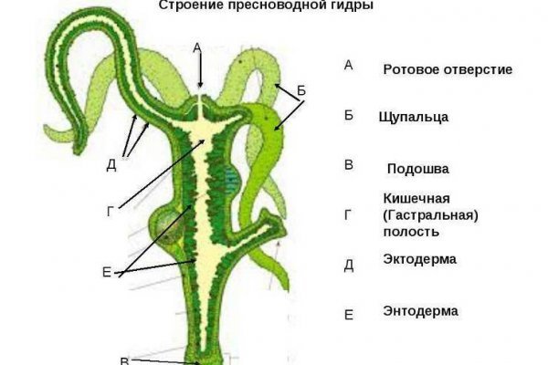 Как положить деньги на кракен